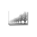 Picture of Lined Up Trees _GroupedProduct_Rectangle_Landscape_Photography _GroupedProduct_Rectangle_Landscape_Canvas_