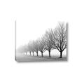 Picture of Lined Up Trees _GroupedProduct_Rectangle_Landscape_Photography _GroupedProduct_Rectangle_Landscape_Canvas_