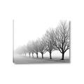 Picture of Lined Up Trees _GroupedProduct_Rectangle_Landscape_Photography _GroupedProduct_Rectangle_Landscape_Canvas_