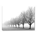 Picture of Lined Up Trees _GroupedProduct_Rectangle_Landscape_Photography _GroupedProduct_Rectangle_Landscape_Canvas_