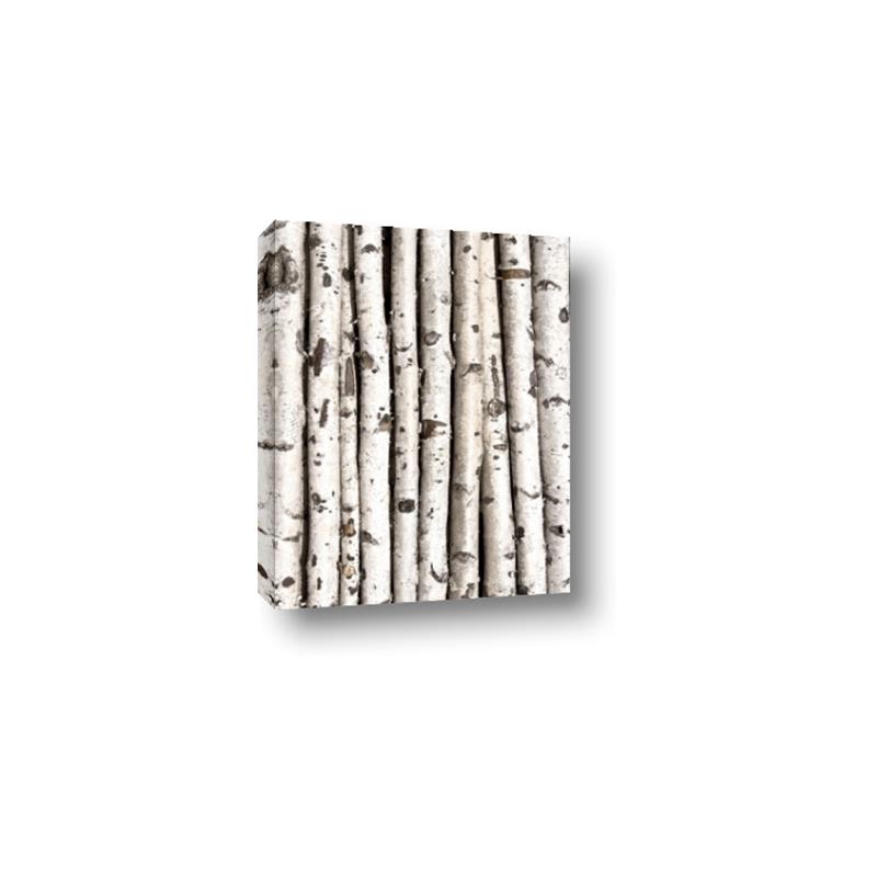 Picture of Birch Logs _GroupedProduct_Rectangle_Portrait_Photography _GroupedProduct_Rectangle_Portrait_Canvas_