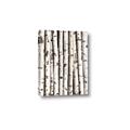 Picture of Birch Logs _GroupedProduct_Rectangle_Portrait_Photography _GroupedProduct_Rectangle_Portrait_Canvas_