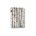Picture of Birch Logs _GroupedProduct_Rectangle_Portrait_Photography _GroupedProduct_Rectangle_Portrait_Canvas_