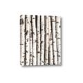 Picture of Birch Logs _GroupedProduct_Rectangle_Portrait_Photography _GroupedProduct_Rectangle_Portrait_Canvas_