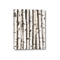 Picture of Birch Logs _GroupedProduct_Rectangle_Portrait_Photography _GroupedProduct_Rectangle_Portrait_Canvas_
