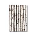 Picture of Birch Logs _GroupedProduct_Rectangle_Portrait_Photography _GroupedProduct_Rectangle_Portrait_Canvas_