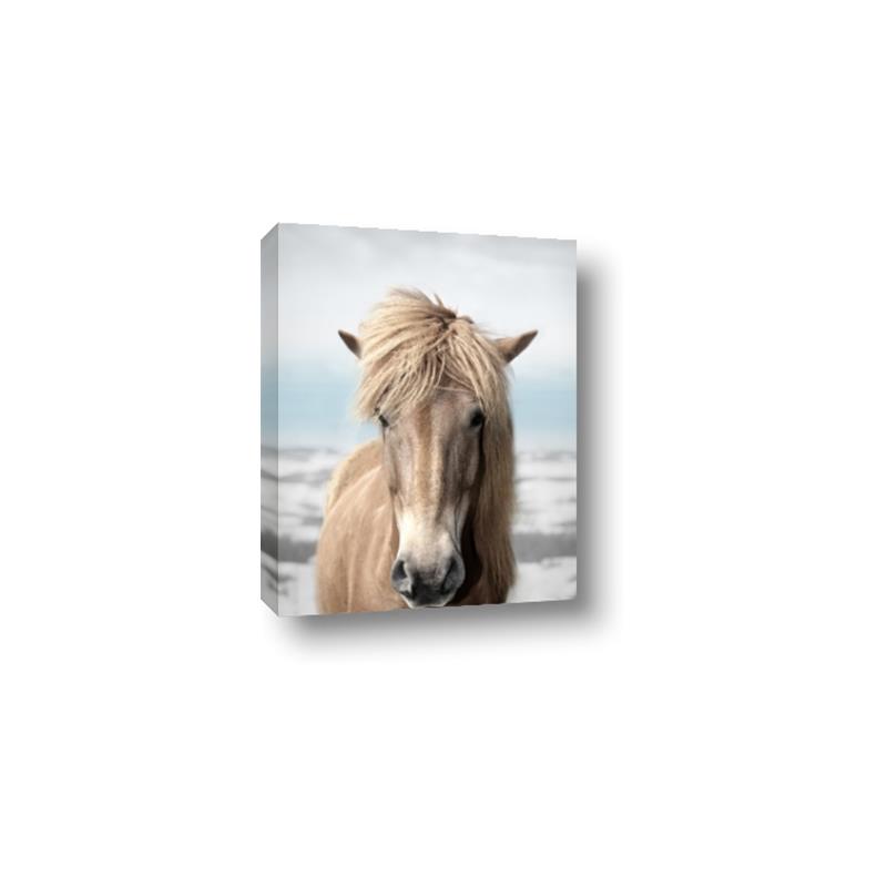 Picture of Sadie _GroupedProduct_Rectangle_Portrait_Photography _GroupedProduct_Rectangle_Portrait_Canvas_