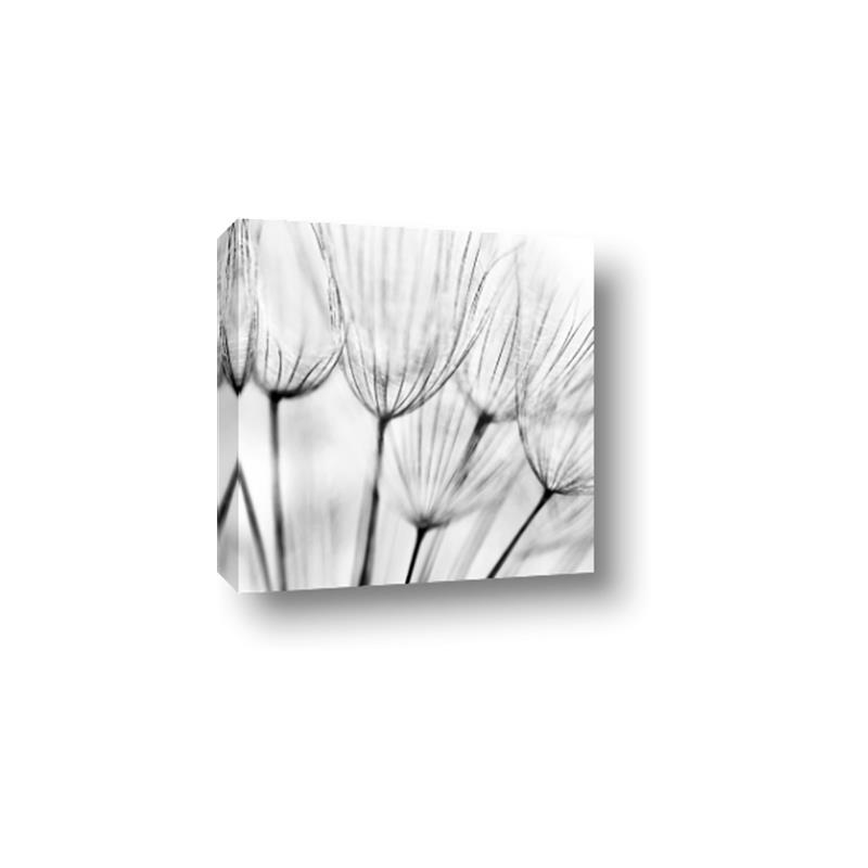 Picture of B&W Flowers end _GroupedProduct_Square_Photography _GroupedProduct_Square_Canvas_