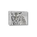 Picture of Big Tiger _GroupedProduct_Rectangle_Landscape_Photography _GroupedProduct_Rectangle_Landscape_Canvas_