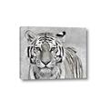 Picture of Big Tiger _GroupedProduct_Rectangle_Landscape_Photography _GroupedProduct_Rectangle_Landscape_Canvas_