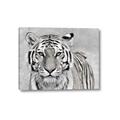 Picture of Big Tiger _GroupedProduct_Rectangle_Landscape_Photography _GroupedProduct_Rectangle_Landscape_Canvas_