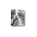 Picture of Web of Trees _GroupedProduct_Rectangle_Portrait_Photography _GroupedProduct_Rectangle_Portrait_Canvas_