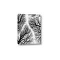Picture of Web of Trees _GroupedProduct_Rectangle_Portrait_Photography _GroupedProduct_Rectangle_Portrait_Canvas_