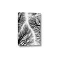 Picture of Web of Trees _GroupedProduct_Rectangle_Portrait_Photography _GroupedProduct_Rectangle_Portrait_Canvas_