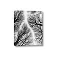 Picture of Web of Trees _GroupedProduct_Rectangle_Portrait_Photography _GroupedProduct_Rectangle_Portrait_Canvas_
