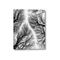 Picture of Web of Trees _GroupedProduct_Rectangle_Portrait_Photography _GroupedProduct_Rectangle_Portrait_Canvas_