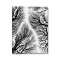 Picture of Web of Trees _GroupedProduct_Rectangle_Portrait_Photography _GroupedProduct_Rectangle_Portrait_Canvas_