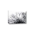 Picture of Dandilion bliss _GroupedProduct_Rectangle_Landscape_Photography _GroupedProduct_Rectangle_Landscape_Canvas_