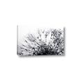 Picture of Dandilion bliss _GroupedProduct_Rectangle_Landscape_Photography _GroupedProduct_Rectangle_Landscape_Canvas_