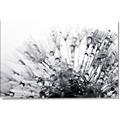 Picture of Dandilion bliss _GroupedProduct_Rectangle_Landscape_Photography _GroupedProduct_Rectangle_Landscape_Canvas_