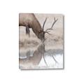 Picture of Elk in the Wild _GroupedProduct_Rectangle_Portrait_Photography _GroupedProduct_Rectangle_Portrait_Canvas_