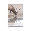 Picture of Elk in the Wild _GroupedProduct_Rectangle_Portrait_Photography _GroupedProduct_Rectangle_Portrait_Canvas_