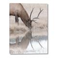 Picture of Elk in the Wild _GroupedProduct_Rectangle_Portrait_Photography _GroupedProduct_Rectangle_Portrait_Canvas_