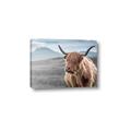 Picture of Furry highland cow _GroupedProduct_Rectangle_Landscape_Photography _GroupedProduct_Rectangle_Landscape_Canvas_