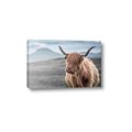 Picture of Furry highland cow _GroupedProduct_Rectangle_Landscape_Photography _GroupedProduct_Rectangle_Landscape_Canvas_