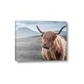 Picture of Furry highland cow _GroupedProduct_Rectangle_Landscape_Photography _GroupedProduct_Rectangle_Landscape_Canvas_