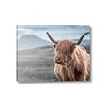 Picture of Furry highland cow _GroupedProduct_Rectangle_Landscape_Photography _GroupedProduct_Rectangle_Landscape_Canvas_