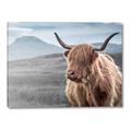 Picture of Furry highland cow _GroupedProduct_Rectangle_Landscape_Photography _GroupedProduct_Rectangle_Landscape_Canvas_