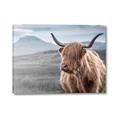 Picture of Furry highland cow _GroupedProduct_Rectangle_Landscape_Photography _GroupedProduct_Rectangle_Landscape_Canvas_