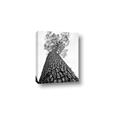Picture of The Tree _GroupedProduct_Rectangle_Portrait_Photography _GroupedProduct_Rectangle_Portrait_Canvas_