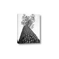 Picture of The Tree _GroupedProduct_Rectangle_Portrait_Photography _GroupedProduct_Rectangle_Portrait_Canvas_