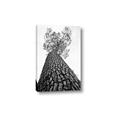 Picture of The Tree _GroupedProduct_Rectangle_Portrait_Photography _GroupedProduct_Rectangle_Portrait_Canvas_