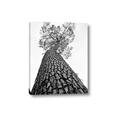 Picture of The Tree _GroupedProduct_Rectangle_Portrait_Photography _GroupedProduct_Rectangle_Portrait_Canvas_
