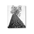 Picture of The Tree _GroupedProduct_Rectangle_Portrait_Photography _GroupedProduct_Rectangle_Portrait_Canvas_