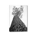 Picture of The Tree _GroupedProduct_Rectangle_Portrait_Photography _GroupedProduct_Rectangle_Portrait_Canvas_