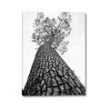 Picture of The Tree _GroupedProduct_Rectangle_Portrait_Photography _GroupedProduct_Rectangle_Portrait_Canvas_