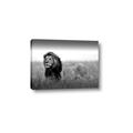 Picture of The Lion King _GroupedProduct_Rectangle_Landscape_Photography _GroupedProduct_Rectangle_Landscape_Canvas_