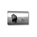 Picture of The Lion King _GroupedProduct_Rectangle_Landscape_Photography _GroupedProduct_Rectangle_Landscape_Canvas_