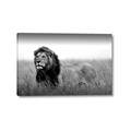 Picture of The Lion King _GroupedProduct_Rectangle_Landscape_Photography _GroupedProduct_Rectangle_Landscape_Canvas_