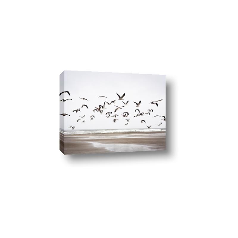 Picture of Seagulls flying on a rainy day _GroupedProduct_Rectangle_Landscape_Photography _GroupedProduct_Rectangle_Landscape_Canvas_