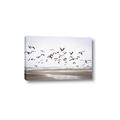 Picture of Seagulls flying on a rainy day _GroupedProduct_Rectangle_Landscape_Photography _GroupedProduct_Rectangle_Landscape_Canvas_