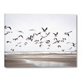 Picture of Seagulls flying on a rainy day _GroupedProduct_Rectangle_Landscape_Photography _GroupedProduct_Rectangle_Landscape_Canvas_