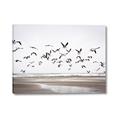 Picture of Seagulls flying on a rainy day _GroupedProduct_Rectangle_Landscape_Photography _GroupedProduct_Rectangle_Landscape_Canvas_