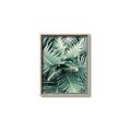 Picture of Green Ferns _GroupedProduct_Rectangle_Portrait_Photography _GroupedProduct_Rectangle_Portrait_Canvas_Framed_