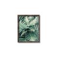 Picture of Green Ferns _GroupedProduct_Rectangle_Portrait_Photography _GroupedProduct_Rectangle_Portrait_Canvas_Framed_