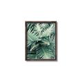 Picture of Green Ferns _GroupedProduct_Rectangle_Portrait_Photography _GroupedProduct_Rectangle_Portrait_Canvas_Framed_